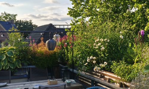 WhatsApp Image 2026-03-16 at 15.27.32