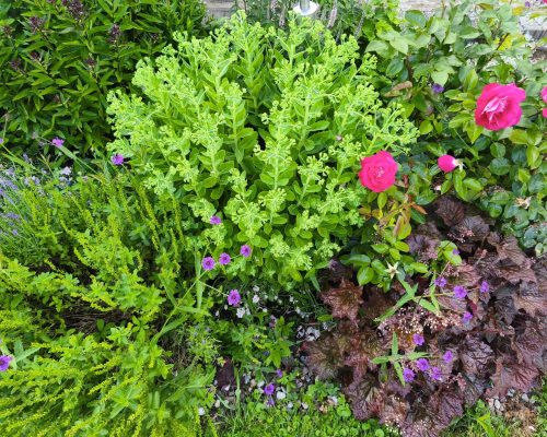 WhatsApp Image 2026-03-16 at 15.27.33(3)