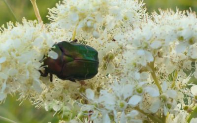 WhatsApp Image 2026-03-16 at 15.30.31