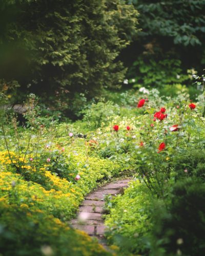 morgane-le-breton-rqIr5yFIaGc-unsplash